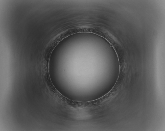 X0000112370821200908201500