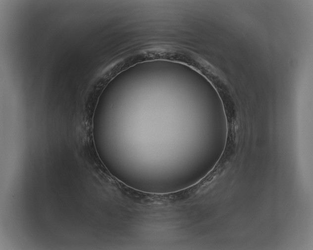 X0000112370822200908201500