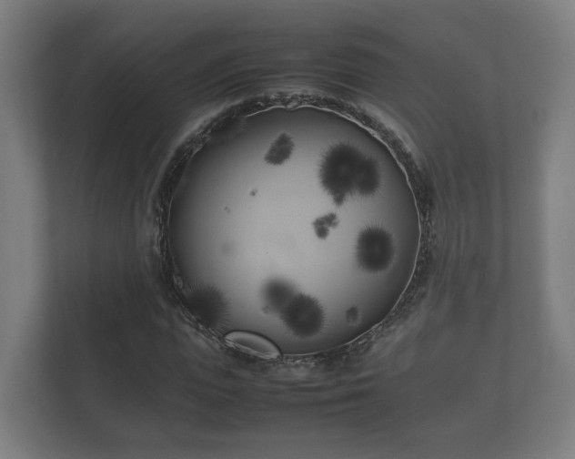 X0000112370823200908201500