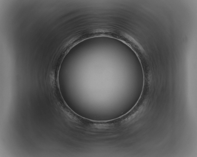 X0000112370825200908201500