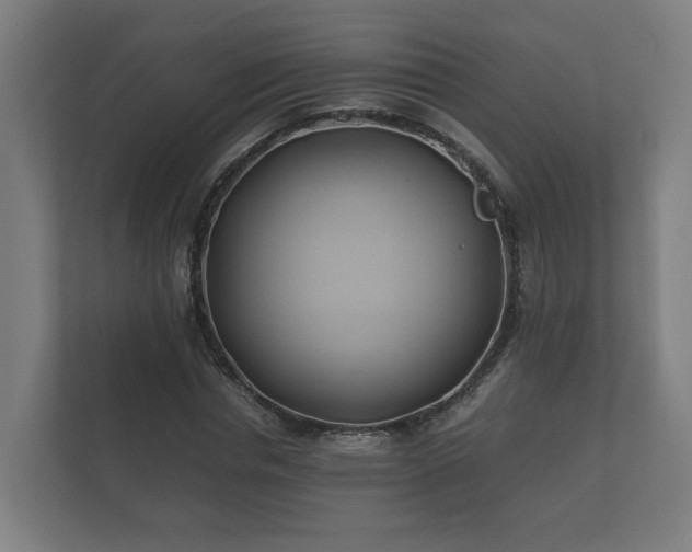 X0000112370826200908201500