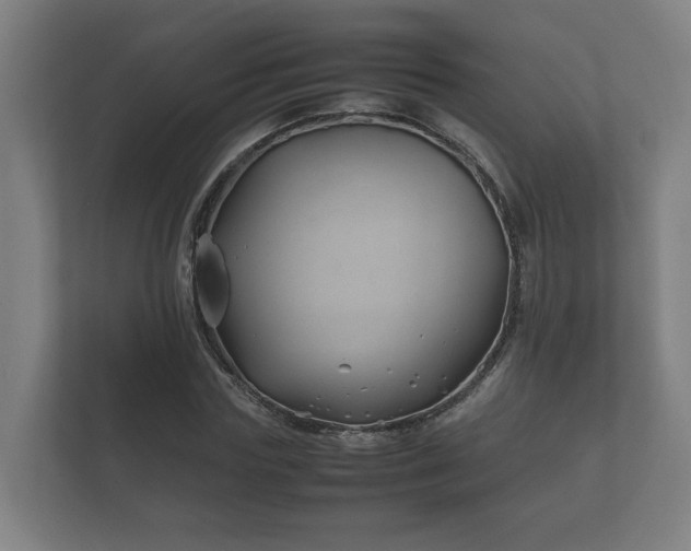 X0000112370827200908201500