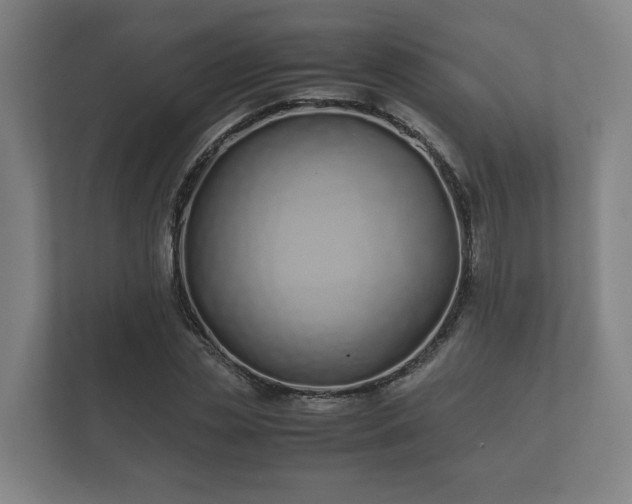 X0000112370829200908201500