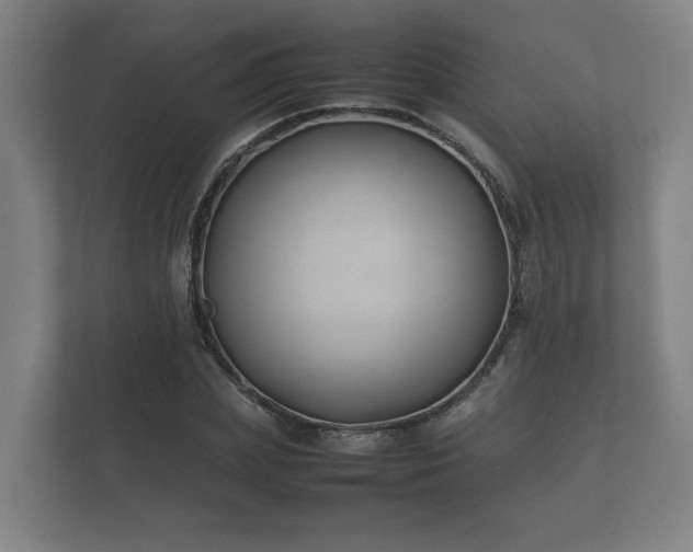 X0000112370831200908201500