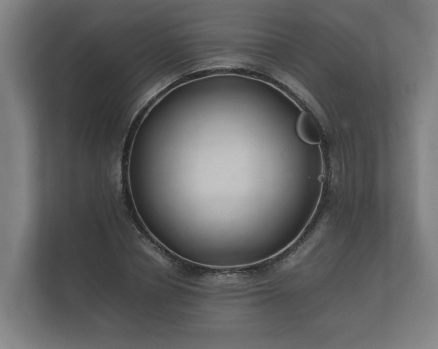 X0000112370834200908201500