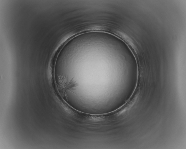 X0000112370835200908201500