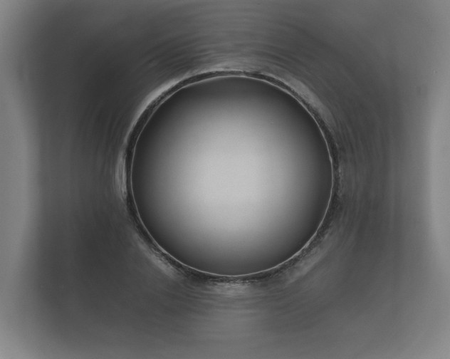 X0000112370838200908201500