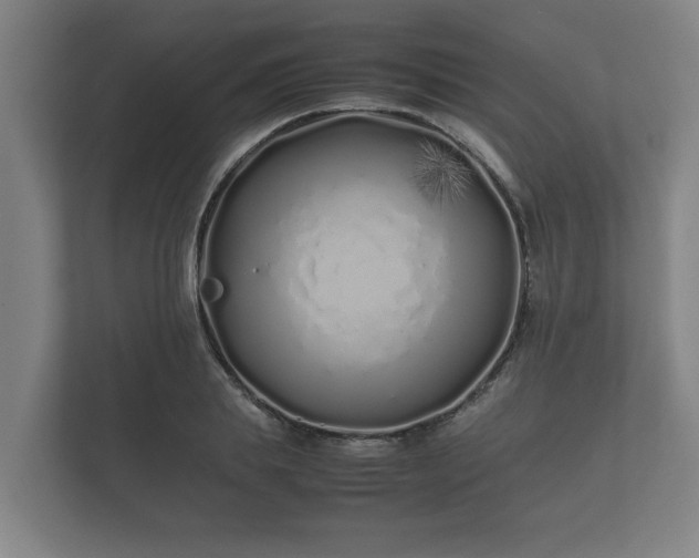X0000112370839200908201500