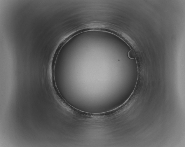 X0000112370840200908201500