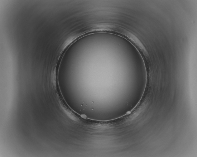 X0000112370842200908201500