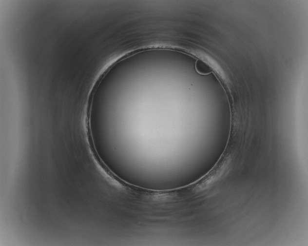 X0000112370847200908201501