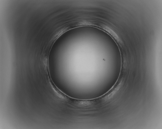 X0000112370849200908201501