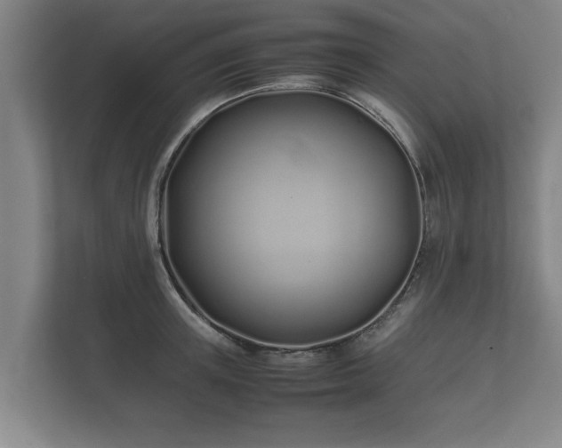 X0000112370851200908201501