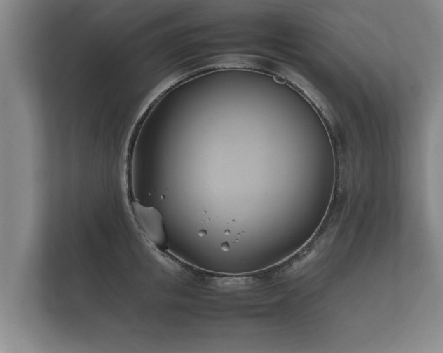 X0000112370853200908201501