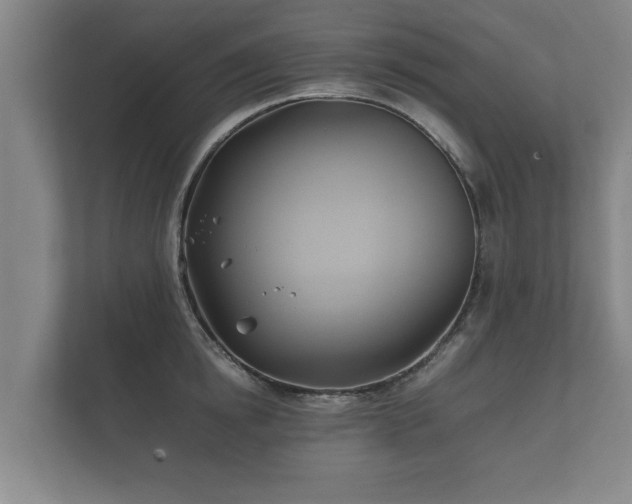 X0000112370854200908201501