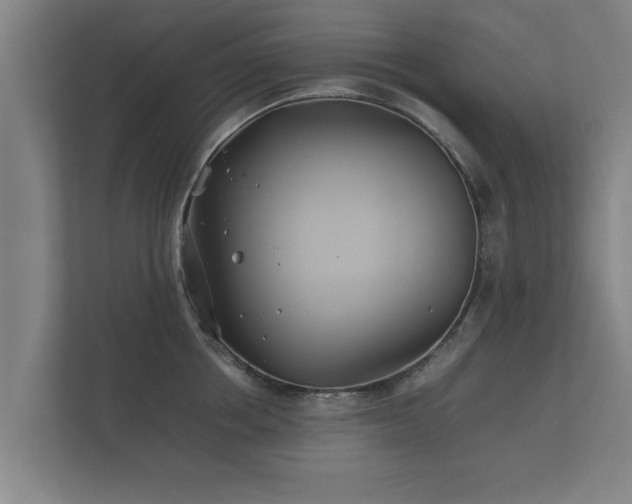 X0000112370858200908201501