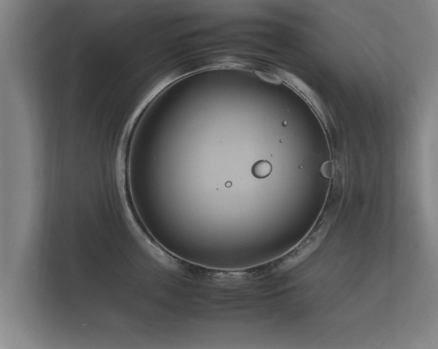 X0000112370859200908201501