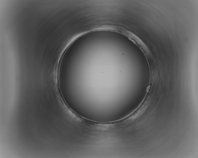 X0000112370860200908201501