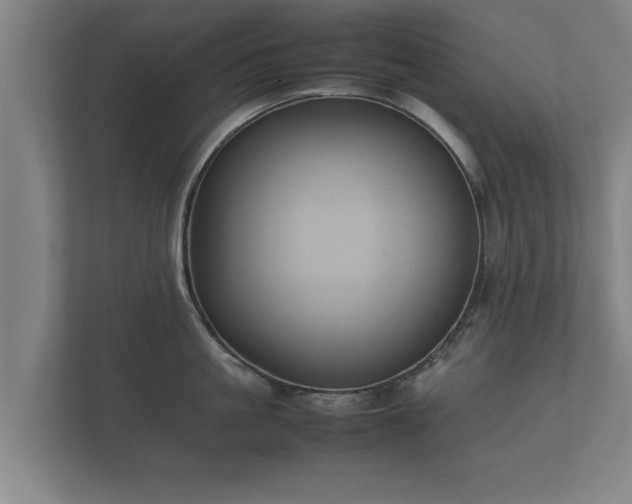 X0000112370861200908201501