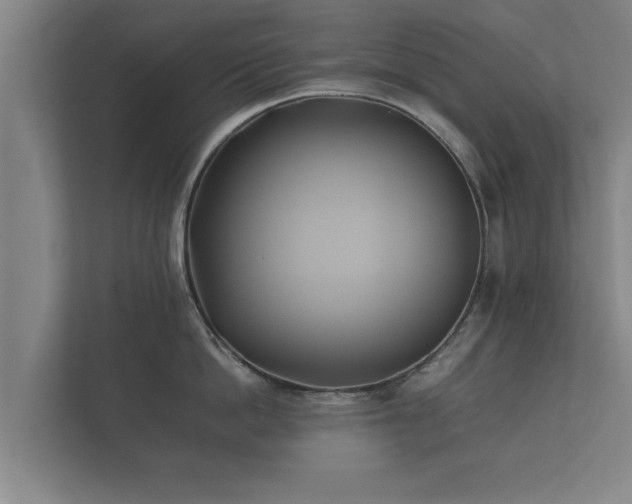 X0000112370862200908201501