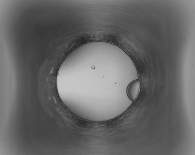 X0000112370865200908201500