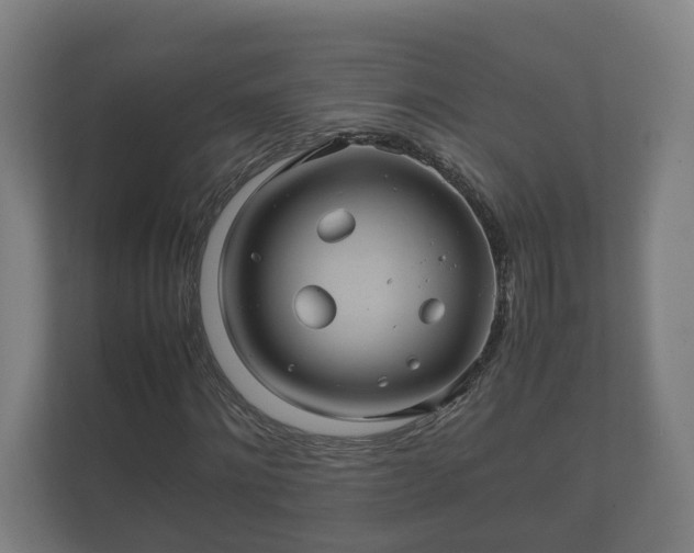 X0000112370868200908201500