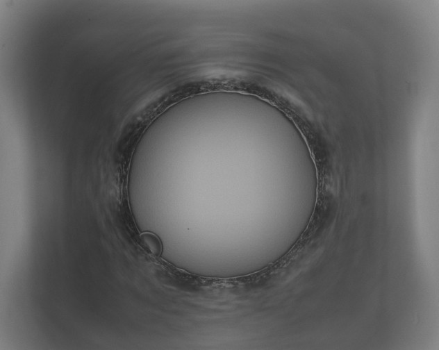 X0000112370869200908201500