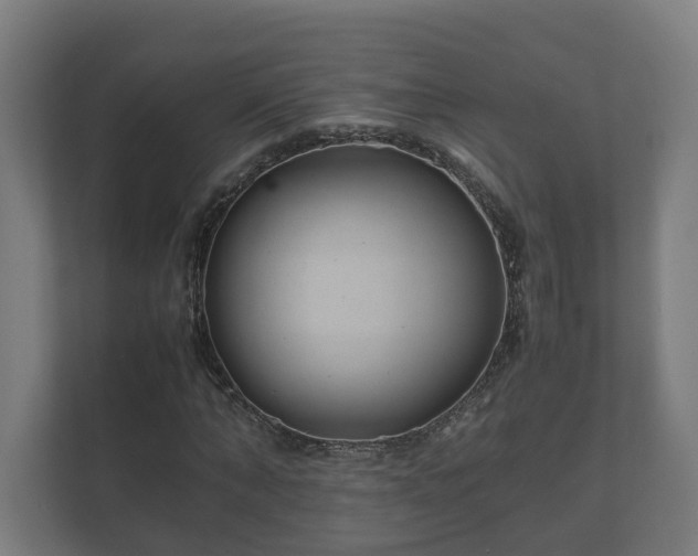 X0000112370870200908201500