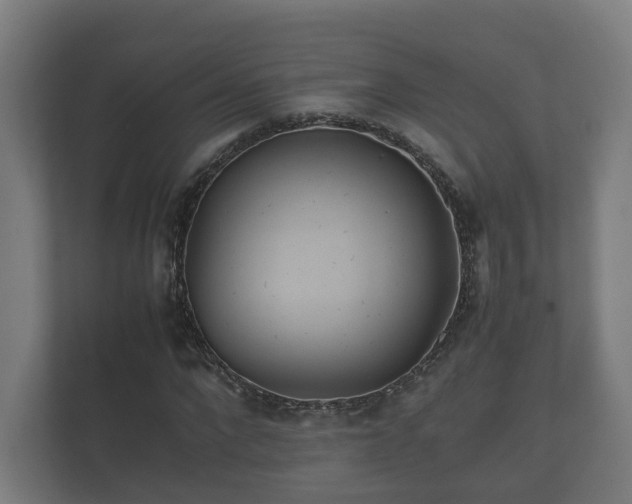 X0000112370872200908201500