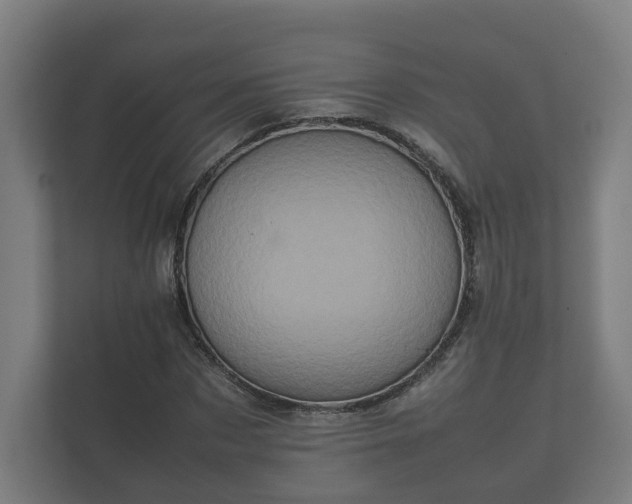 X0000112370873200908201500