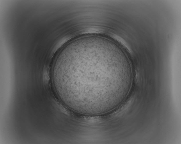 X0000112370874200908201500