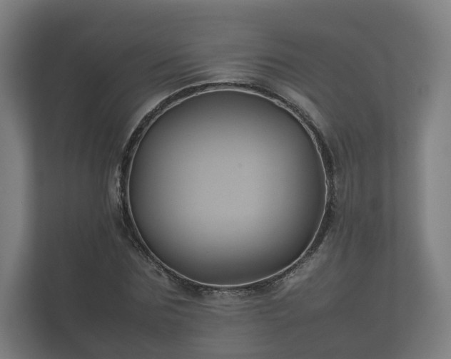 X0000112370875200908201500