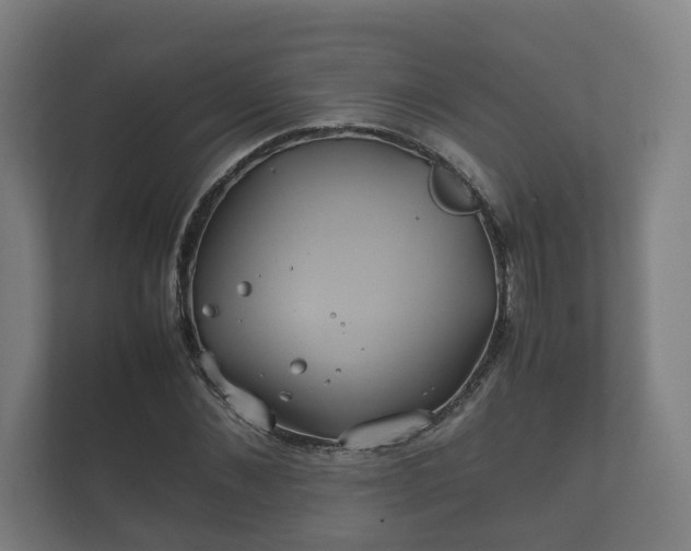 X0000112370876200908201500