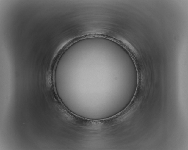 X0000112370878200908201500