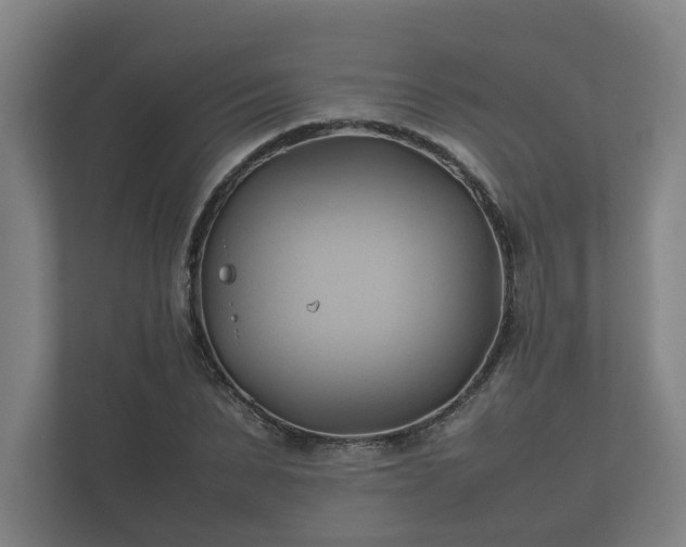 X0000112370879200908201500