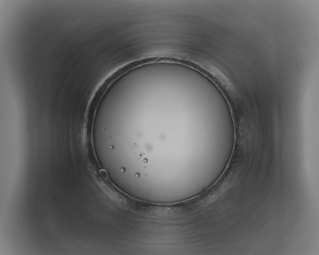 X0000112370880200908201500