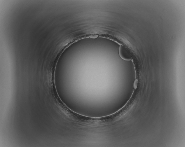 X0000112370881200908201500