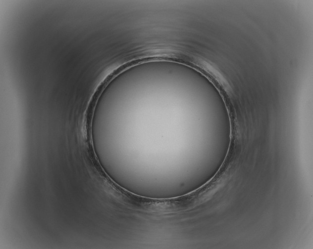 X0000112370883200908201500