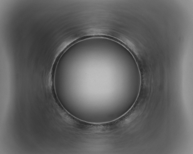 X0000112370885200908201500