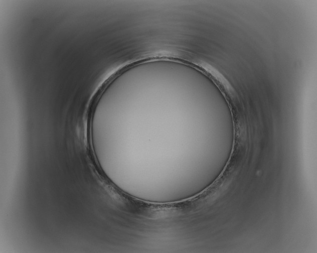 X0000112370886200908201500