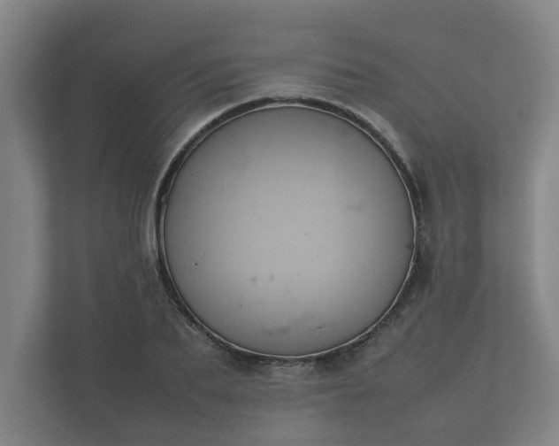 X0000112370887200908201500