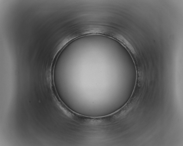 X0000112370890200908201500