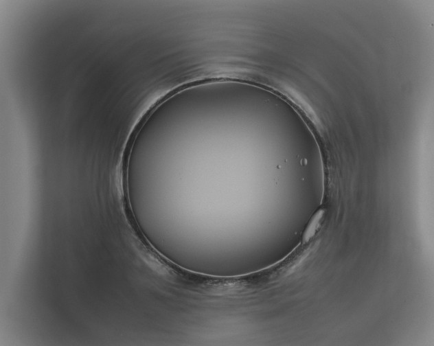 X0000112370891200908201500