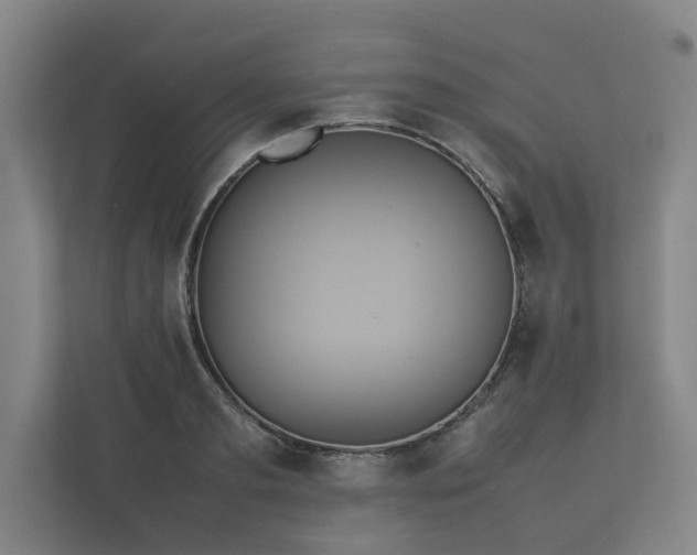 X0000112370893200908201500