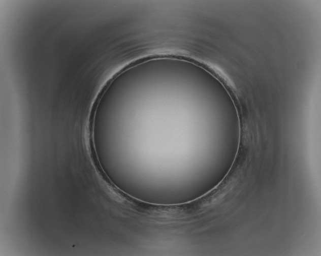 X0000112370895200908201500