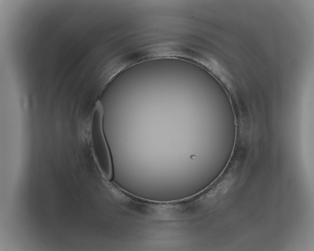 X0000112370897200908201500