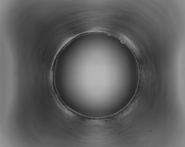 X0000112370900200908201500