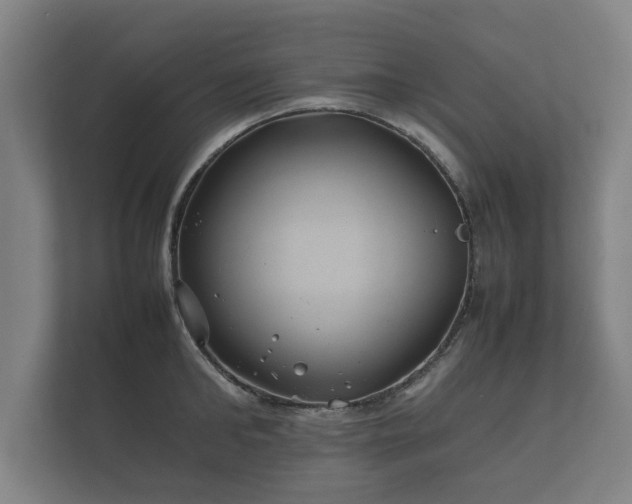 X0000112370902200908201500