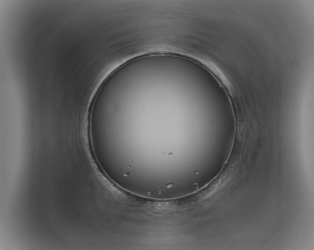 X0000112370903200908201500