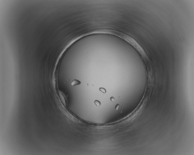 X0000112370908200908201500